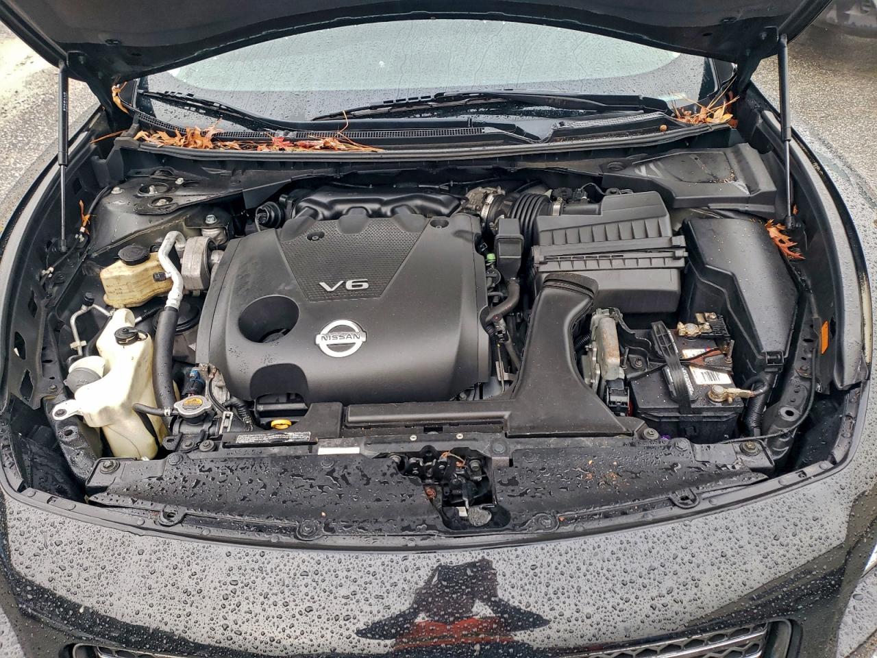 Lot #3302865943 2009 NISSAN MAXIMA S