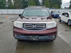 Lot #3302964632 2013 HONDA PILOT EXL