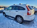 Lot #3306732781 2010 HONDA CR-V LX