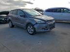 Lot #3303823423 2014 FORD ESCAPE SE
