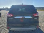 Lot #3312476619 2013 FORD ESCAPE SEL