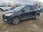 Lot #3310438307 2013 FORD ESCAPE SEL