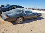 Lot #3312371769 1979 CHEVROLET CAMARO