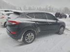 Lot #3303572939 2016 HYUNDAI TUCSON LIM
