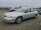 Lot #3304732907 2004 CHEVROLET CLASSIC