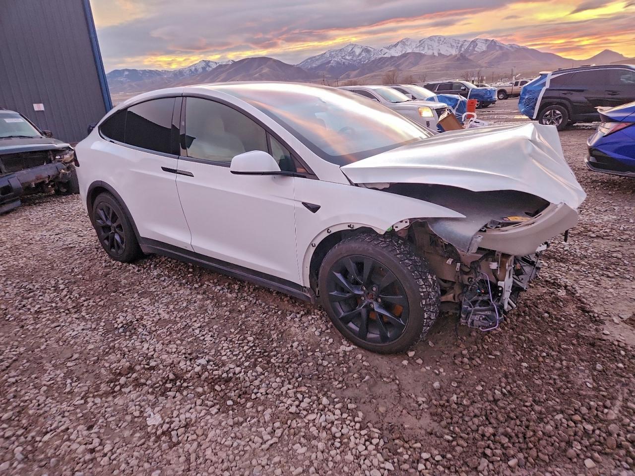TESLA MODEL X