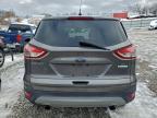 Lot #3305381331 2014 FORD ESCAPE SE