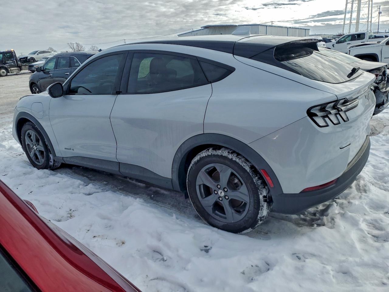 Lot #3310368960 2021 FORD MUSTANG MA