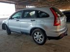 Lot #3304688919 2009 HONDA CR-V EX