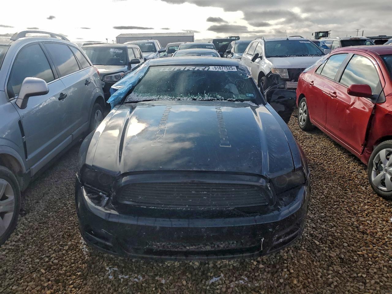 Lot #3317921908 2014 FORD MUSTANG