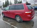 Lot #3319093275 2005 HONDA ODYSSEY EX