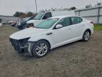Lot #3311761294 2013 KIA OPTIMA LX