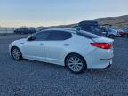 Lot #3303940688 2014 KIA OPTIMA EX