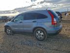 Lot #3304888538 2009 HONDA CR-V LX