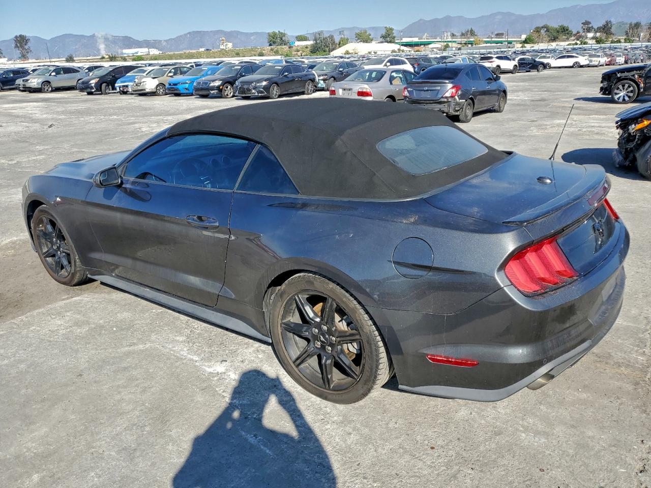 Lot #3309605616 2019 FORD MUSTANG