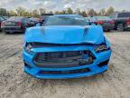 Lot #3317031053 2024 FORD MUSTANG