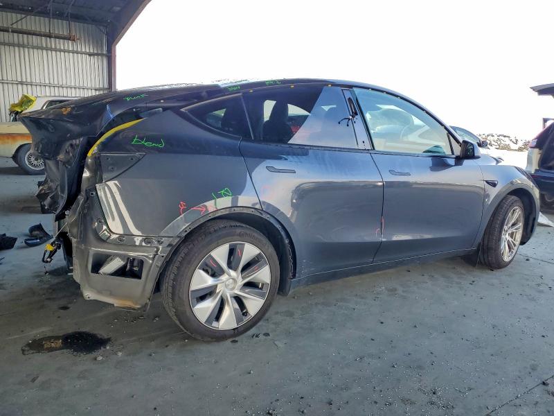2023 TESLA MODEL Y #3308484299