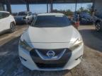 Lot #3316883135 2016 NISSAN MAXIMA 3.5