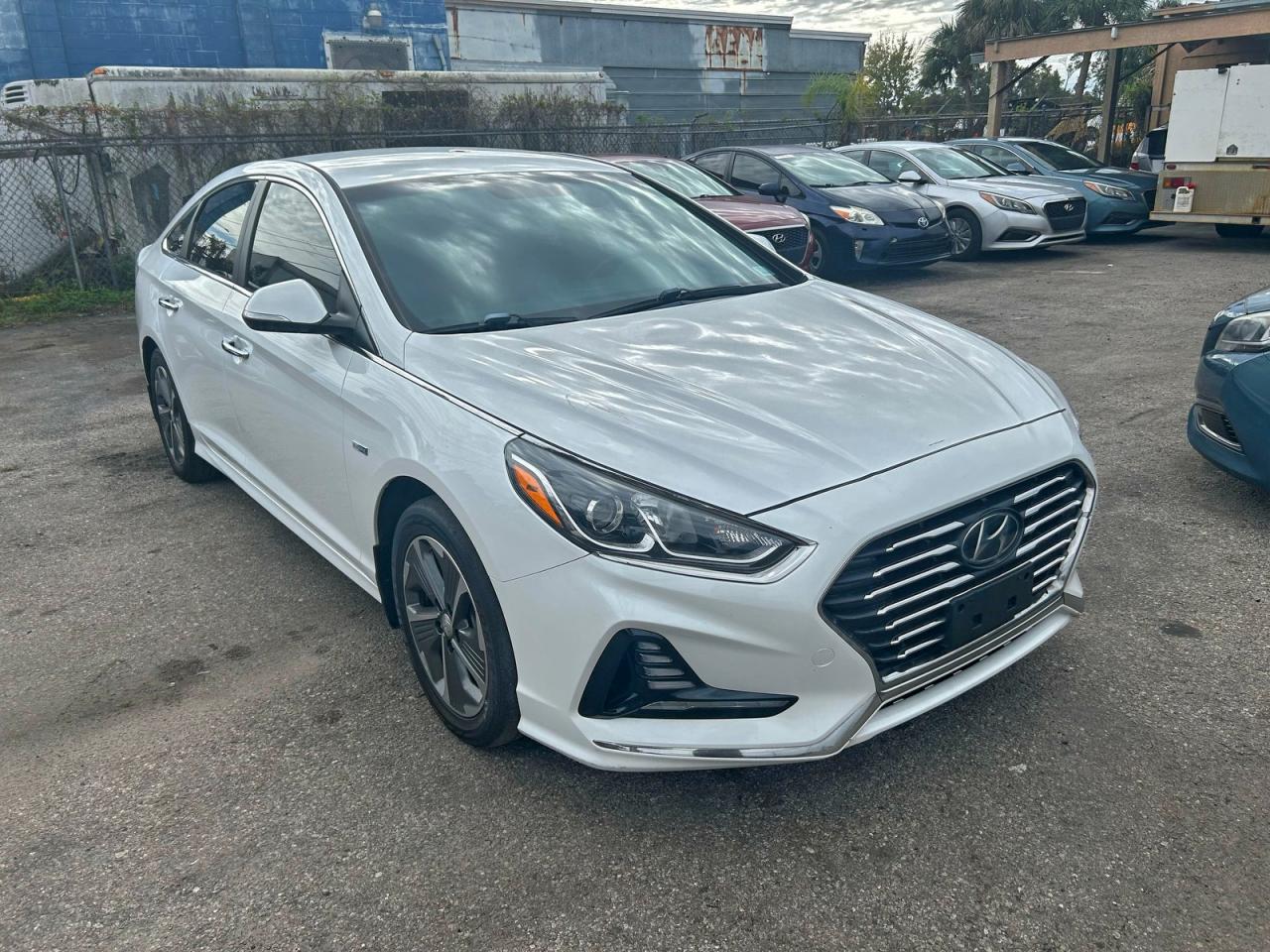 Lot #3302669026 2019 HYUNDAI SONATA PLU