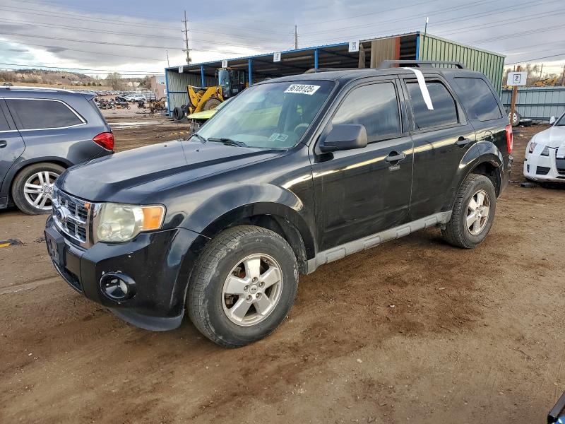 2010 FORD ESCAPE XLT #3312654159