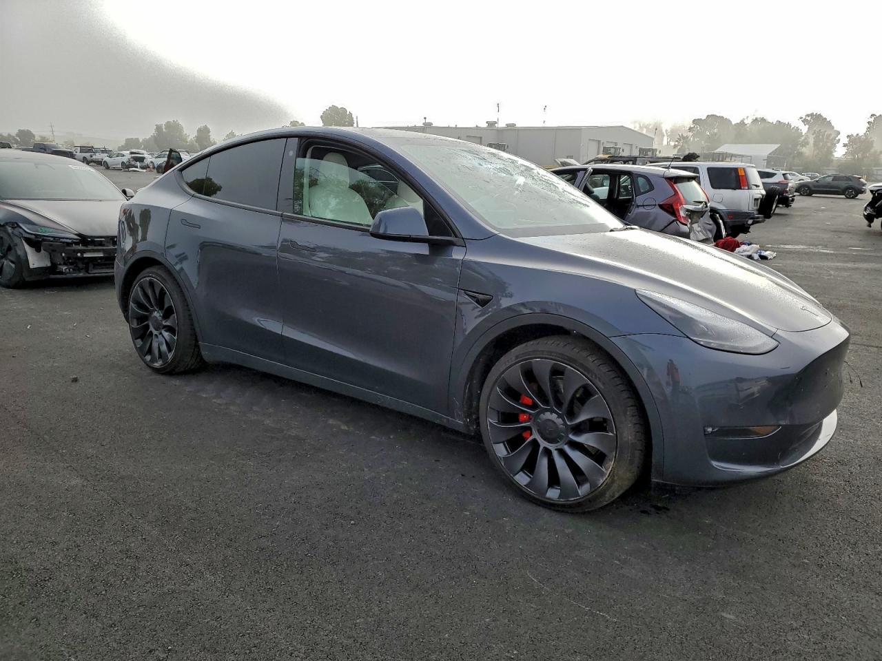 TESLA MODEL Y