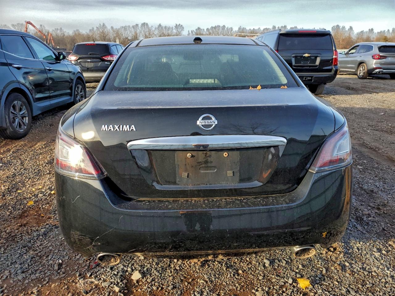 Lot #3302846906 2014 NISSAN MAXIMA S