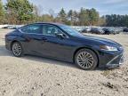 Lot #3311622320 2019 LEXUS ES 350