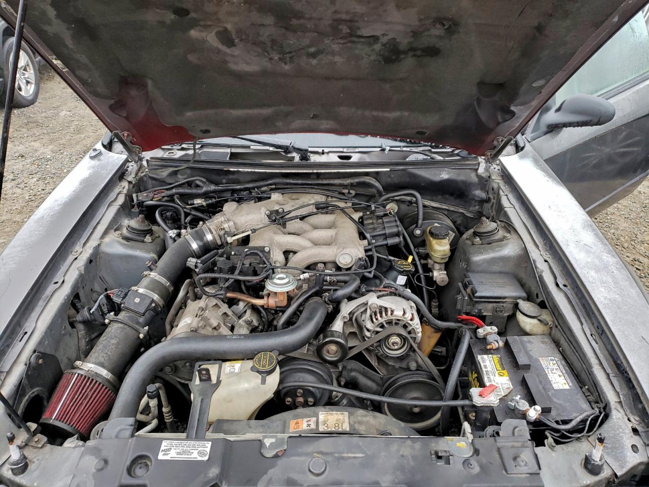 Lot #3315707460 2003 FORD MUSTANG