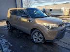 Lot #3303804425 2015 KIA SOUL
