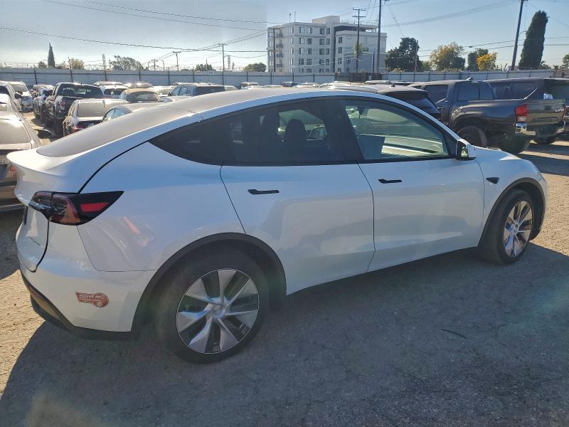 2024 TESLA MODEL Y #3305446076