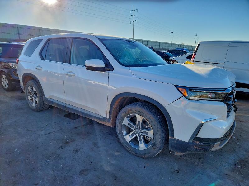 2024 HONDA PILOT EXL #3319078275