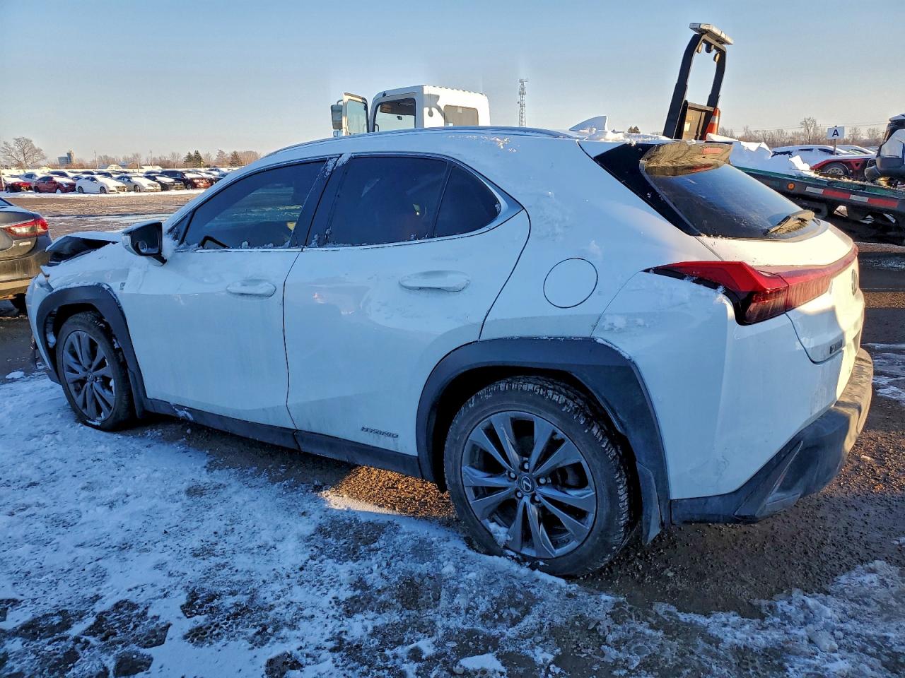 LEXUS UX 250H