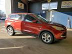 Lot #3317827266 2016 FORD ESCAPE SE