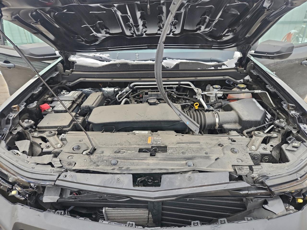 Lot #3316811411 2023 CHEVROLET COLORADO