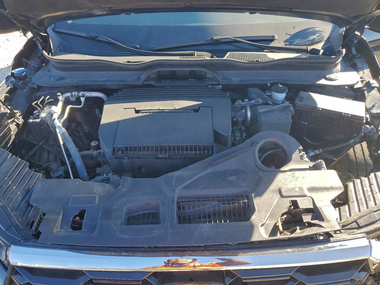 Lot #3315873091 2025 HONDA PILOT TOUR