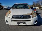 Lot #3315729354 2010 TOYOTA RAV4