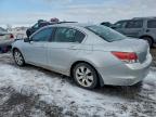 Lot #3304563468 2009 HONDA ACCORD EX