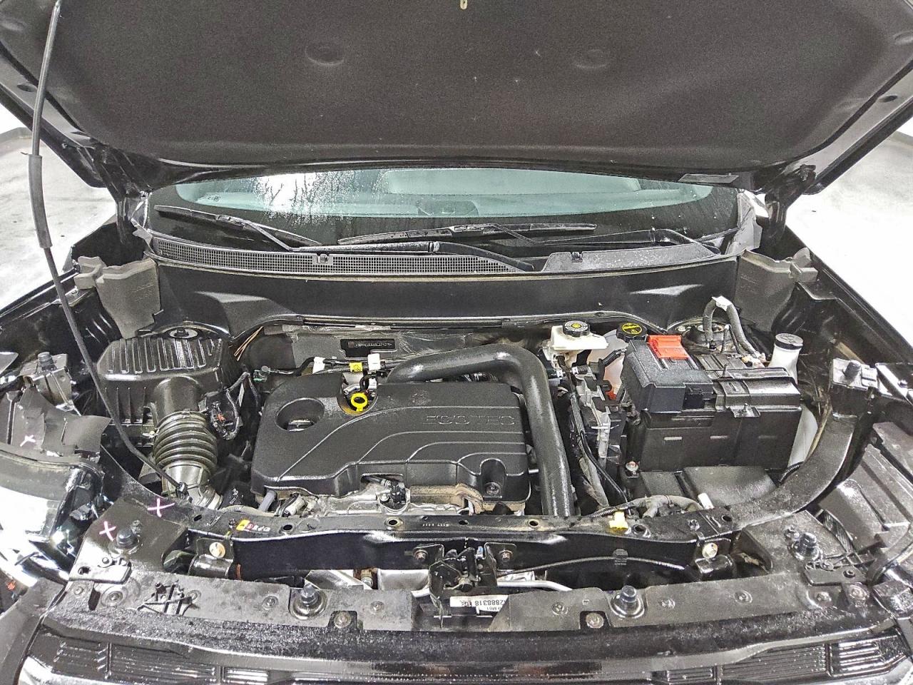 Lot #3316842675 2025 GMC TERRAIN EL