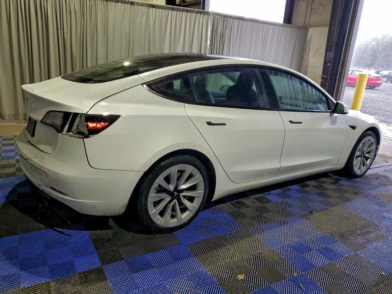 2022 TESLA MODEL 3 #3305334333