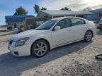Lot #3311543245 2007 NISSAN MAXIMA SE