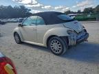 Lot #3303944719 2005 VOLKSWAGEN NEW BEETLE