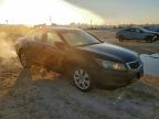 Lot #3310307964 2008 HONDA ACCORD EXL