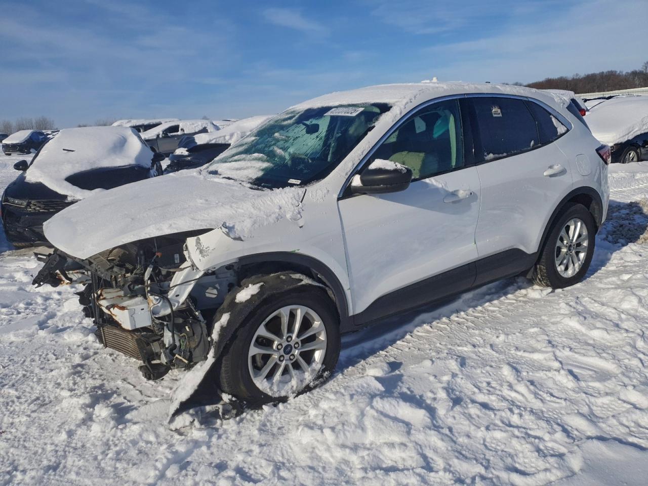 Lot #3316849691 2022 FORD ESCAPE SE