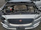 Lot #3305684730 2017 JAGUAR F-PACE PRE