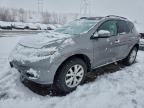 Lot #3304310029 2011 NISSAN MURANO S