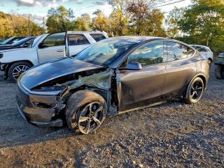 2026 TESLA MODEL Y #3304516517