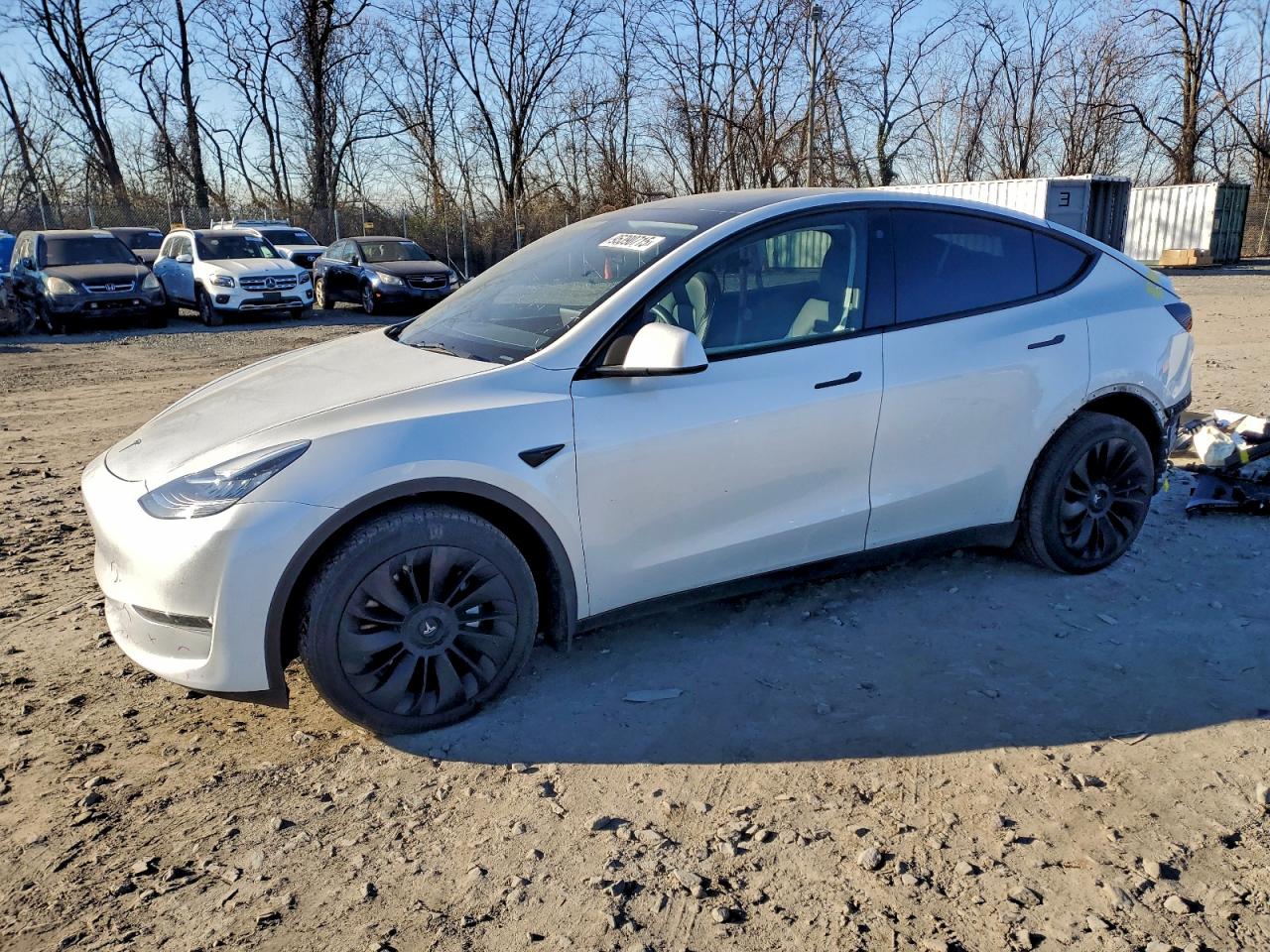Lot #3309627100 2023 TESLA MODEL Y