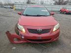 Lot #3312423671 2010 TOYOTA COROLLA BA