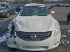 Lot #3308419331 2010 NISSAN ALTIMA BAS