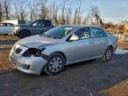 Lot #3303999676 2010 TOYOTA COROLLA BA